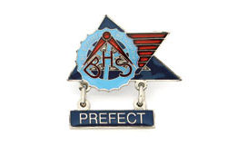 School Badges