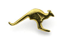 Souvenir Badges / Lapel Pins