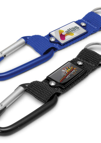 107107 Carabiner Key Ring main