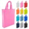 NWB007 Non Woven Trade Show Bag main