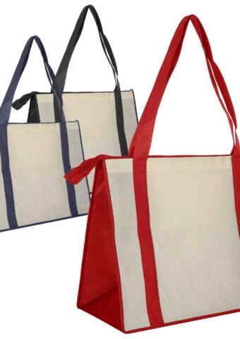 NWB017 Non Woven Large Zipped Shopping Bag main