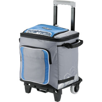 p 4217 Artic Zone 50 Can Cooler