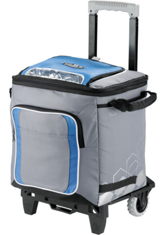 p 4217 Artic Zone 50 Can Cooler