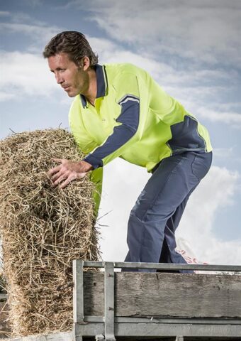 p 4660 zh238 hivis polo cover