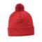 Solid Pom Pom Beanie Main