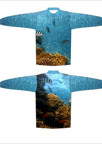 DYES FS2 scaled