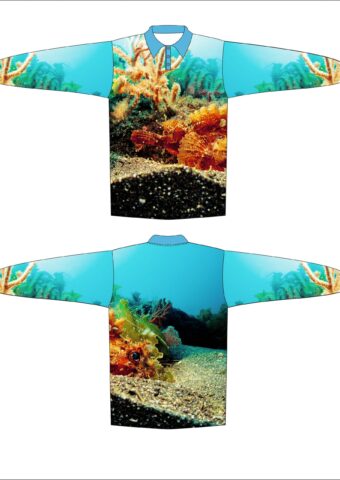 DYES FS3 scaled