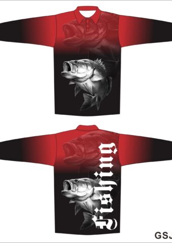 DYES FS4 scaled