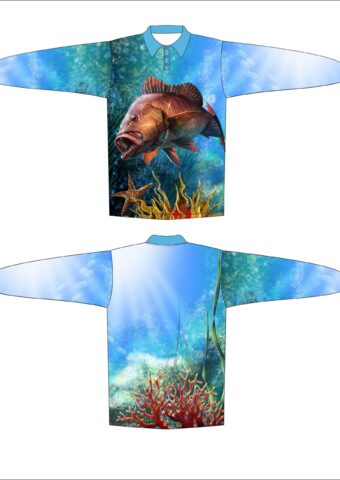 DYES FS6 scaled