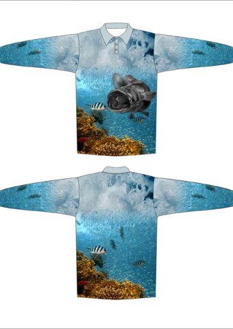 DYES FS7 scaled