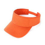Visor