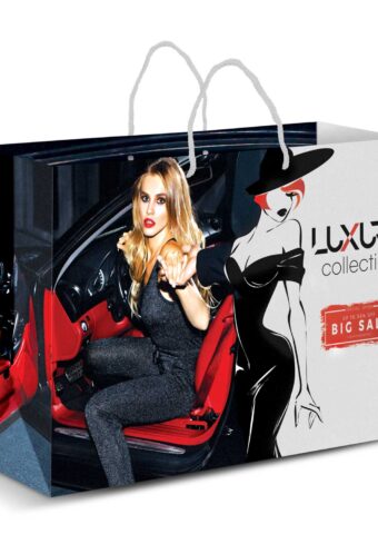 Extra Large Laminated Paper Carry Bag main