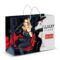 Extra Large Laminated Paper Carry Bag main