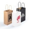 LL547 Express Paper Bag Small main