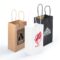 LL547 Express Paper Bag Small main