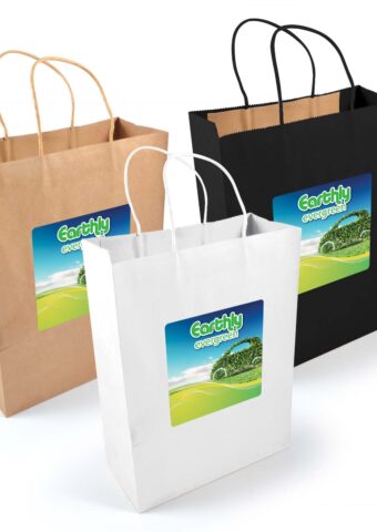 LL549 Express Paper Bag Large main