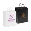 Laminated Carry Bag Medium main