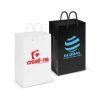 Laminated Carry Bag Small main