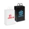 Laminated Carry Bag Small main