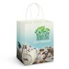 Large Paper Carry Bag main