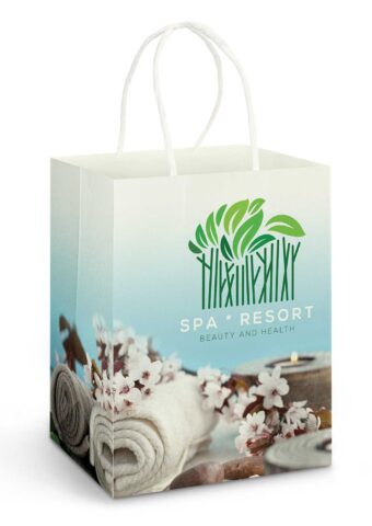 Large Paper Carry Bag main