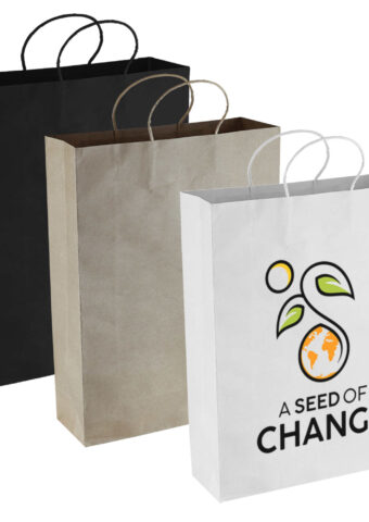 PPB007 Paper Kraft Shopping Bag 1