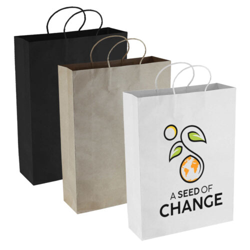 PPB007 Paper Kraft Shopping Bag 1