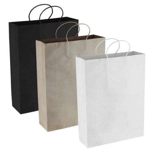 PPB007 Paper Kraft Shopping Bag 2