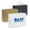 Paper Carry Bag Extra Large main