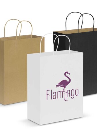 Paper Carry Bag Large main