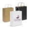 Paper Carry Bag Large main