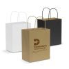 Paper Carry Bag Medium main
