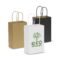 Paper Carry Bag Small main