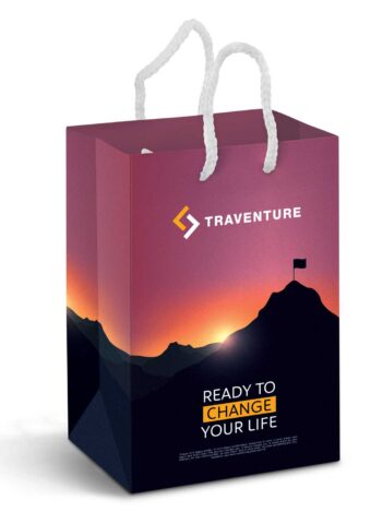 Small Laminated Paper Carry Bag main