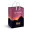 Small Laminated Paper Carry Bag main