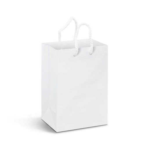 Small Laminated Paper Carry Bag white