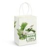 Small Paper Carry Bag main