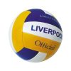 Volleyballs