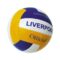 Volleyballs