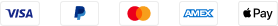 footer payment