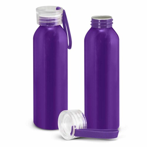 119385 Hydro Bottle purple