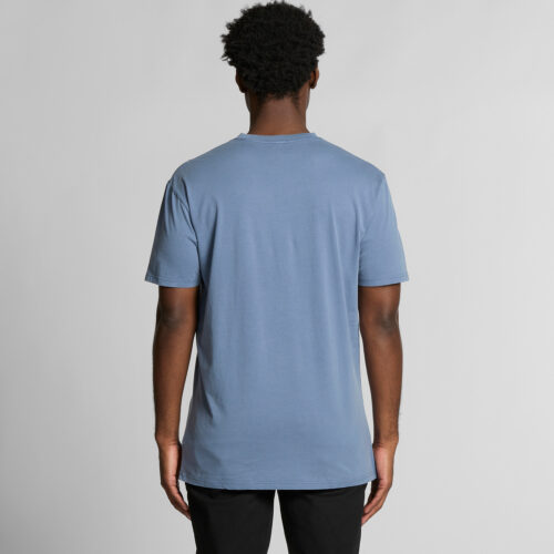 5065 AS Colour Staple Faded Tee back