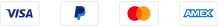 Footer Payment (no Apple Pay)